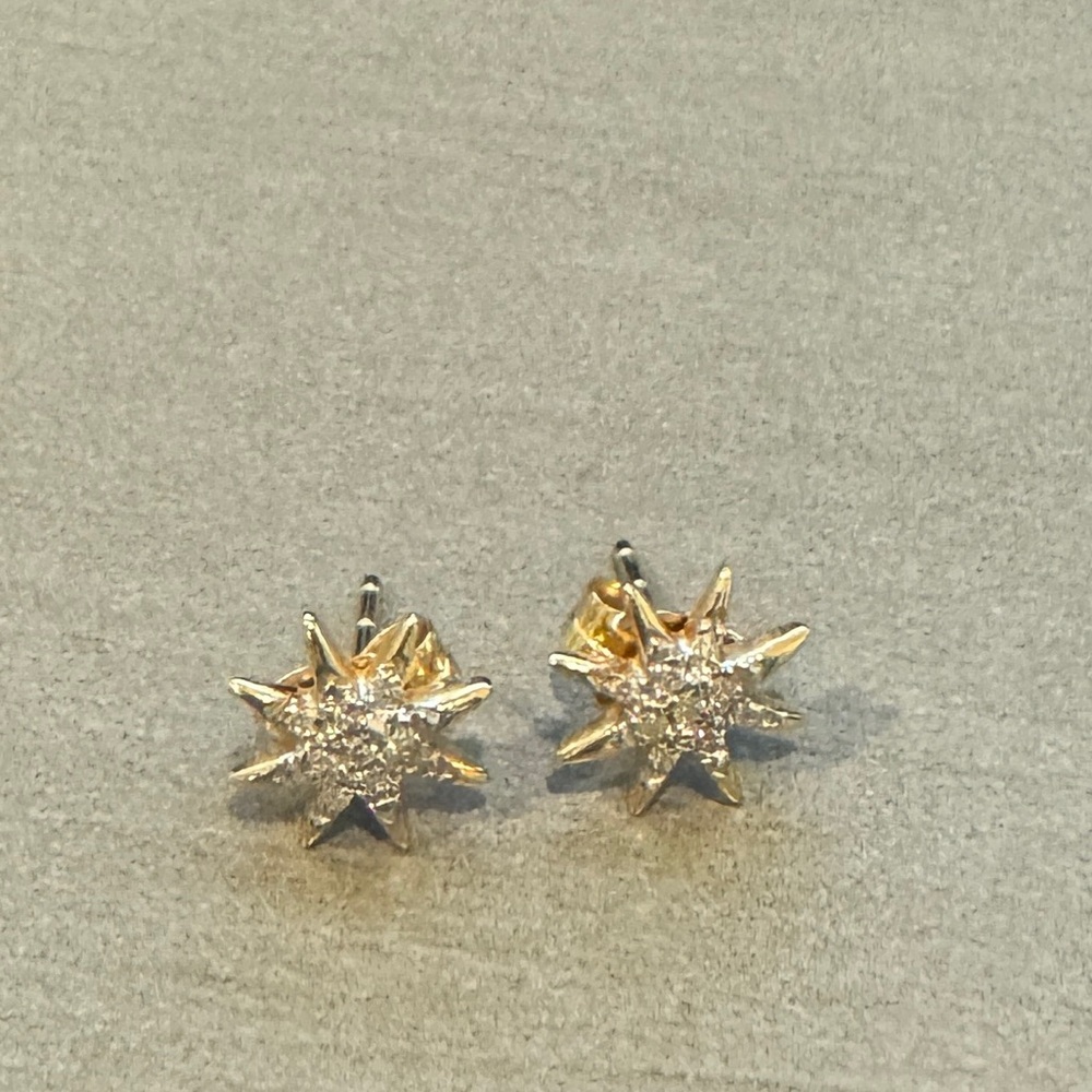 Adina Reyter solid pave starburst posts